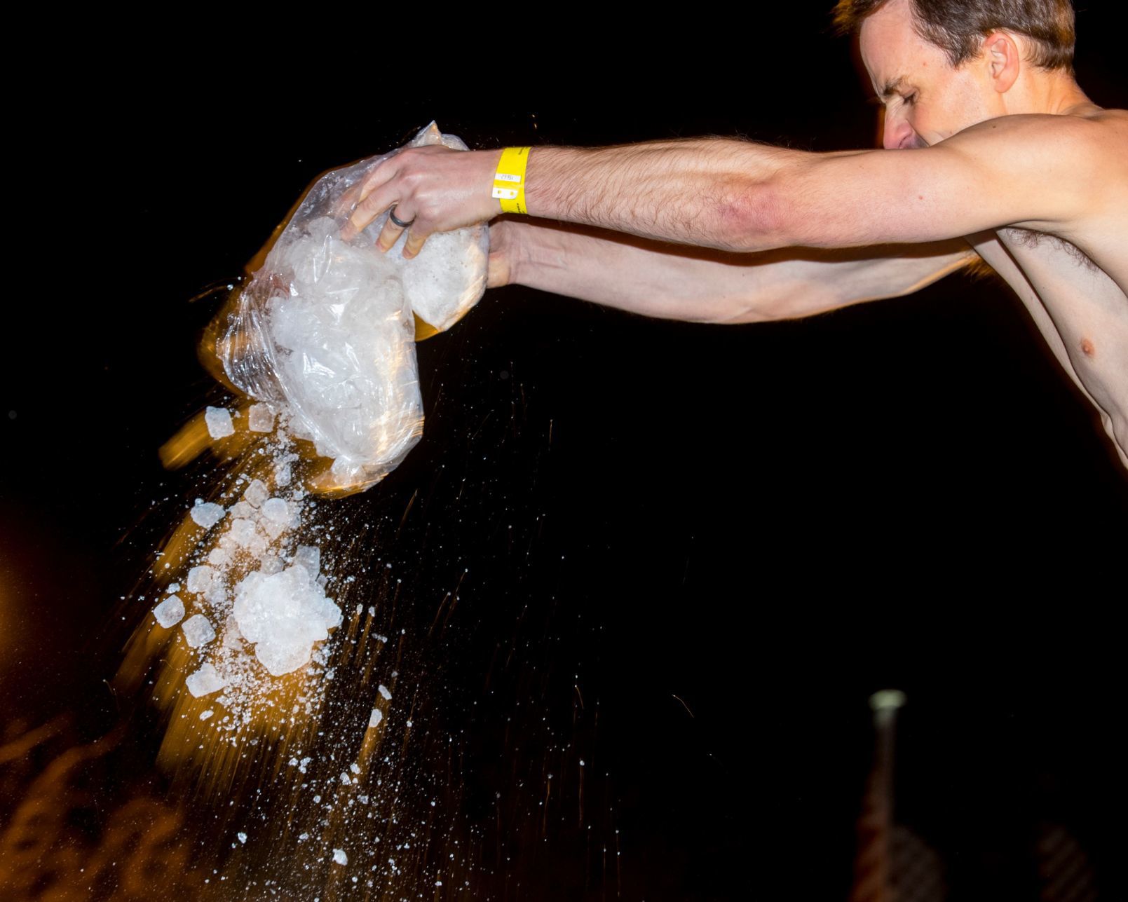 Polar Plunge